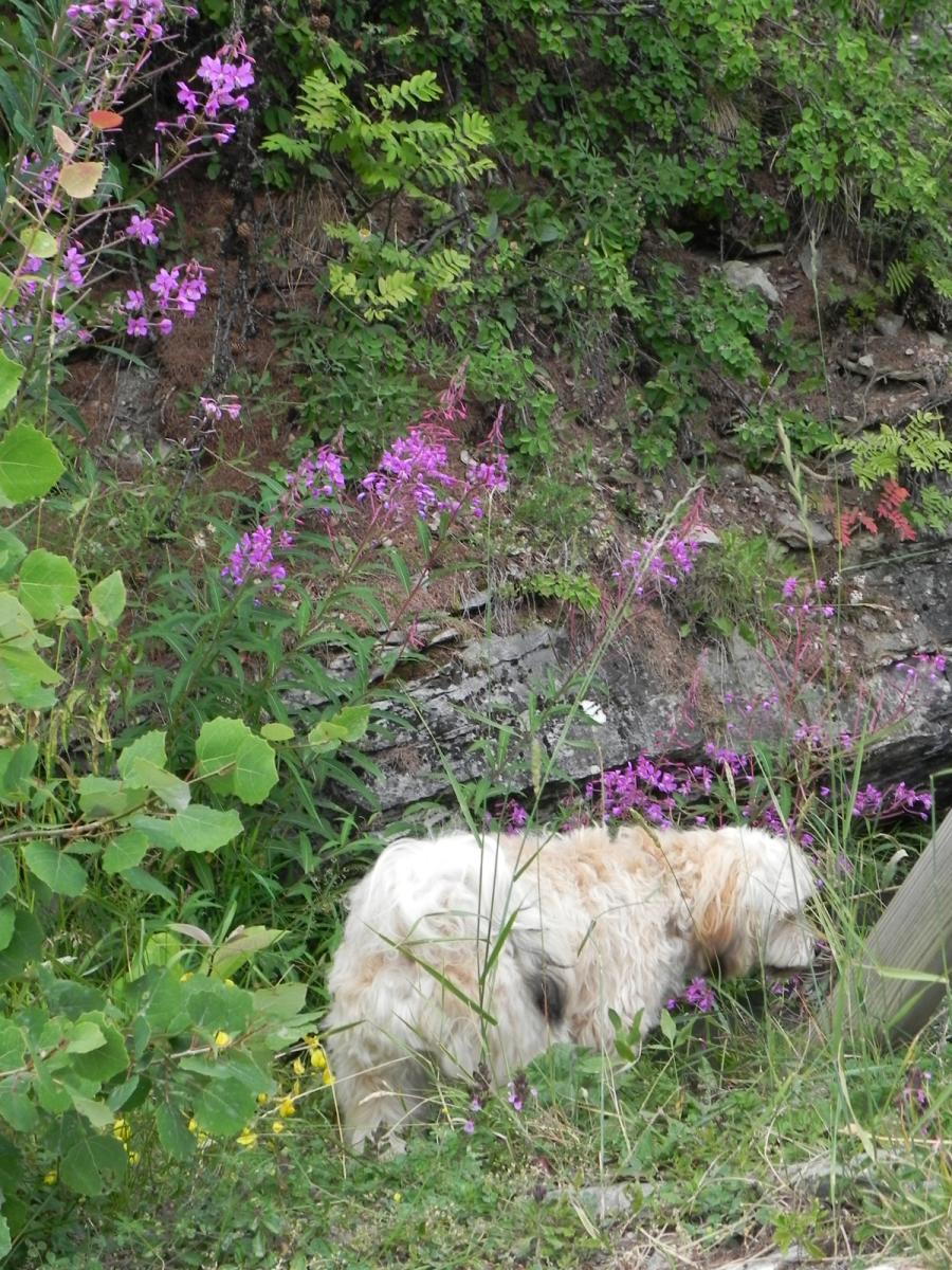 MILO2014 093